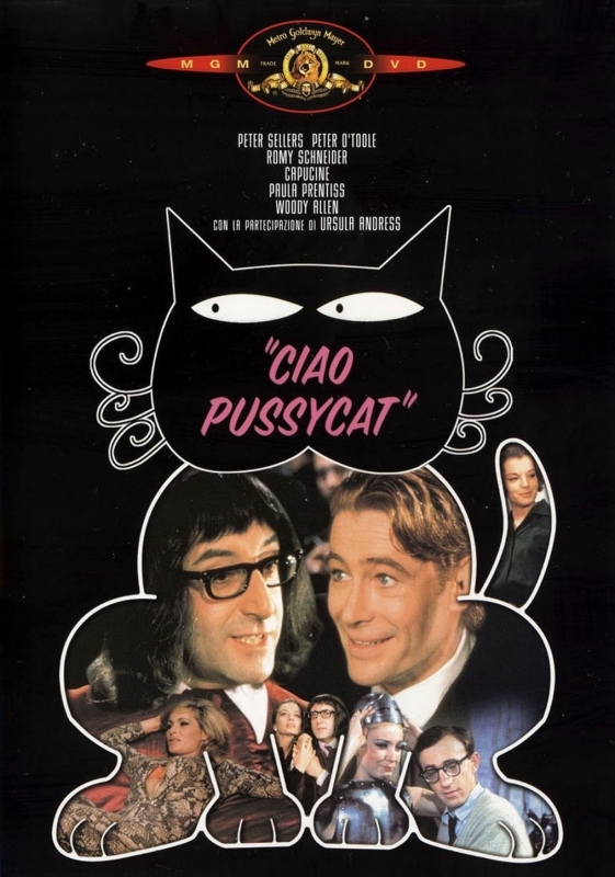 Ciao Pussycat.jpg